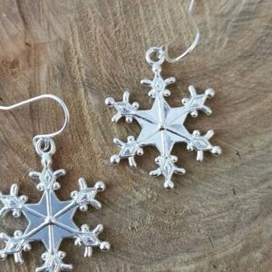 ♥️ D 5 / $20 Silver Snowflake Earrings
